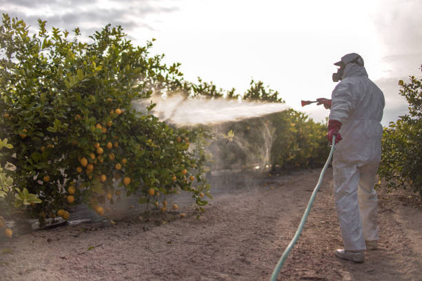 Best Best Pest Control Companies  in Oak Valley, NJ